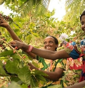 Rwanda Nyakizu - svetlé praženie (200 g