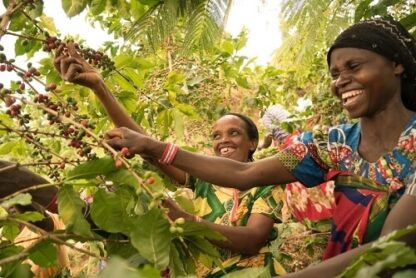 Rwanda Nyakizu - svetlé praženie (200 g